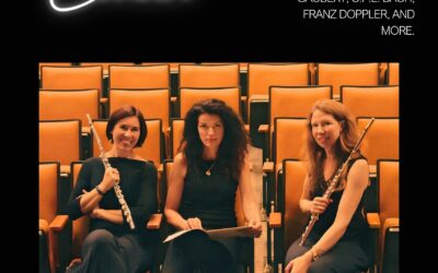 Trio Demeter Momentum Concert